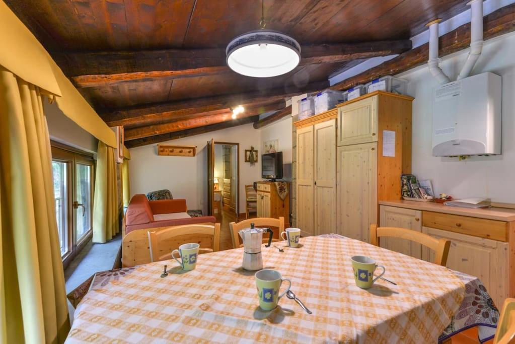 38-Volpini House In Amiata - Val D'Orcia, Saturnia, Feste&Sagre 카스텔 델 피아노 외부 사진