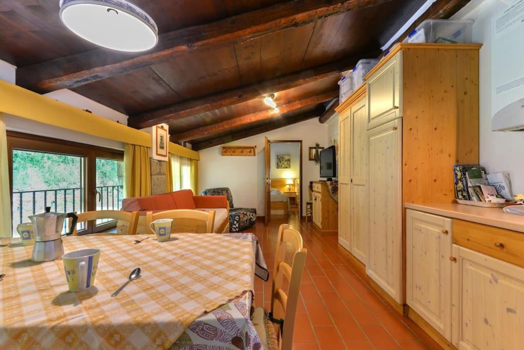 38-Volpini House In Amiata - Val D'Orcia, Saturnia, Feste&Sagre 카스텔 델 피아노 외부 사진